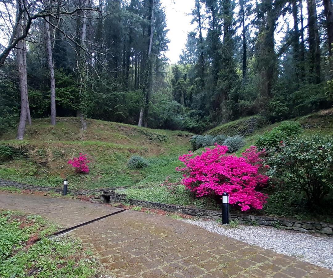 Il Bosco di Campo Marzano Garden Apartment Borzonasca Exterior foto