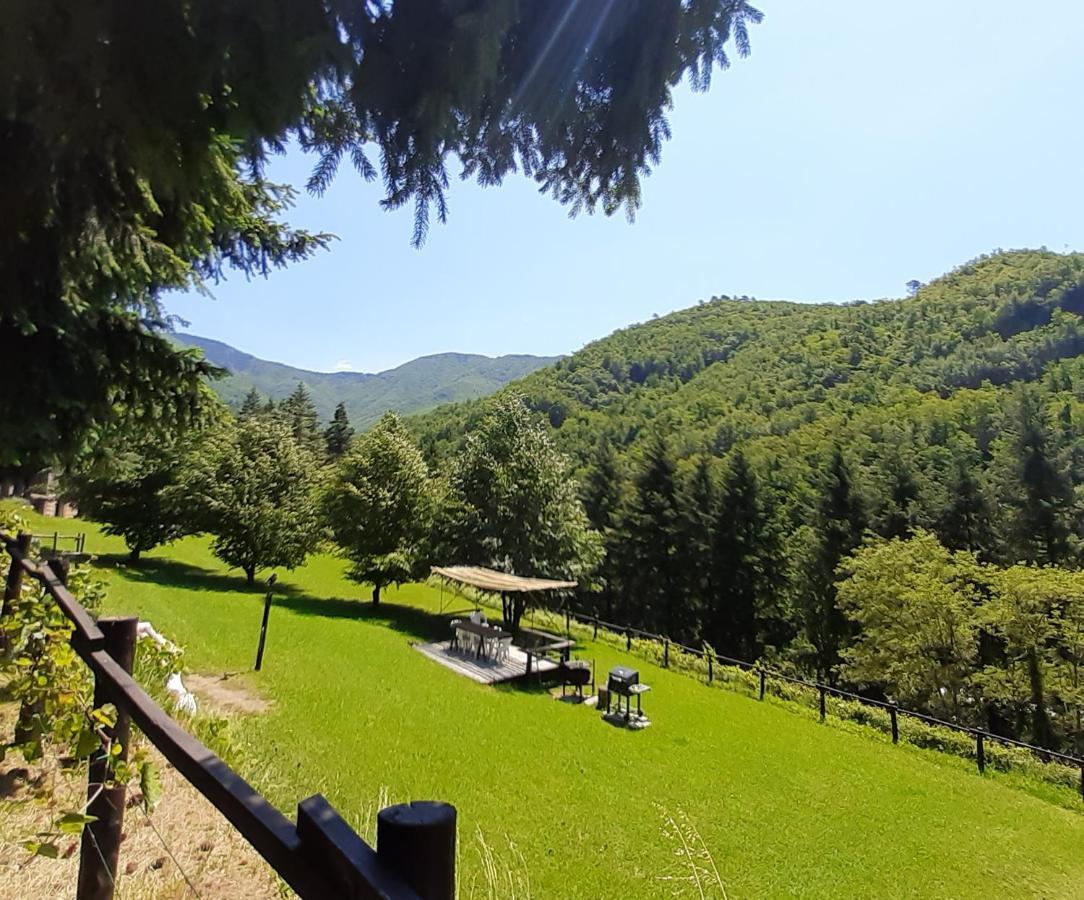 Il Bosco di Campo Marzano Garden Apartment Borzonasca Exterior foto