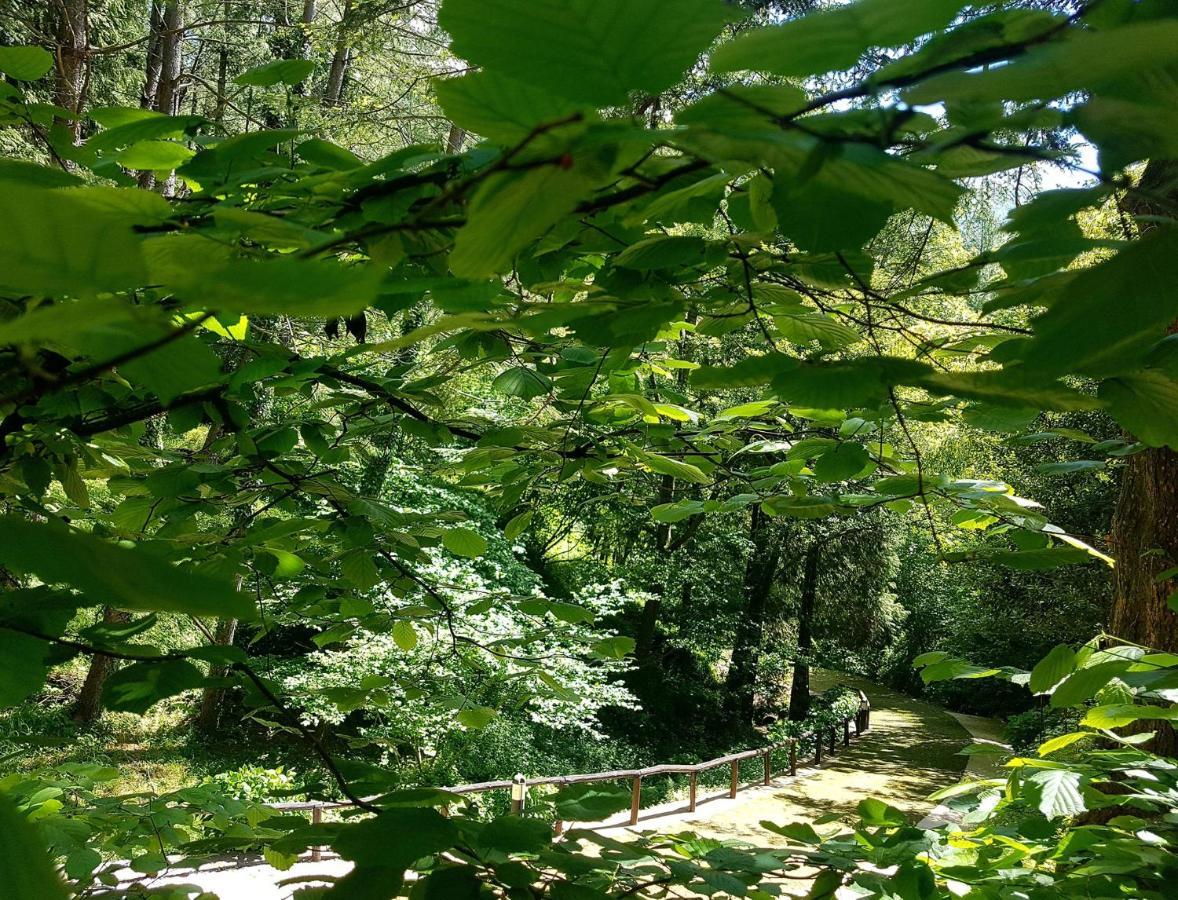 Il Bosco di Campo Marzano Garden Apartment Borzonasca Exterior foto