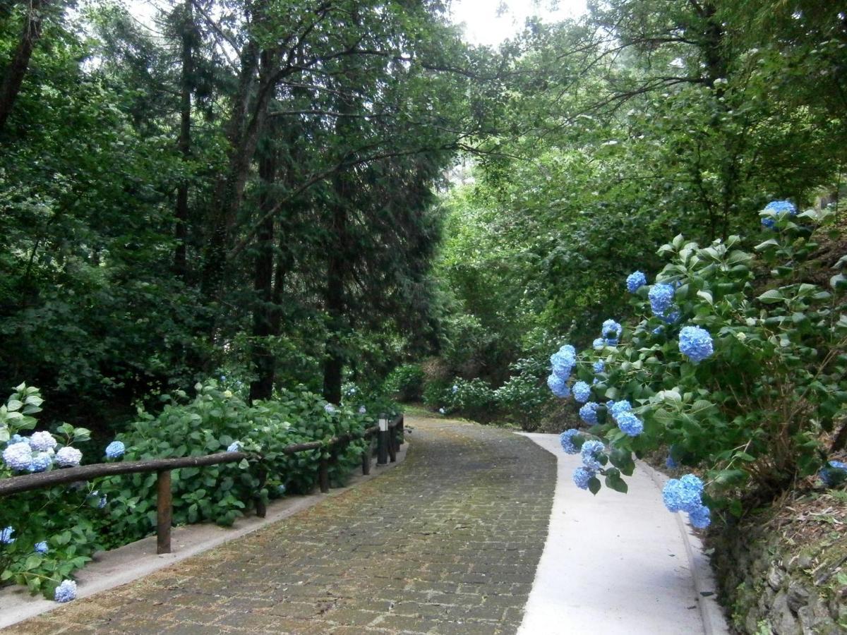 Il Bosco di Campo Marzano Garden Apartment Borzonasca Exterior foto